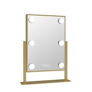 Vanity Mirror with Lights
